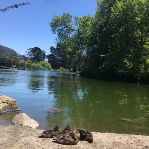 Meet your Posher, Alexandra